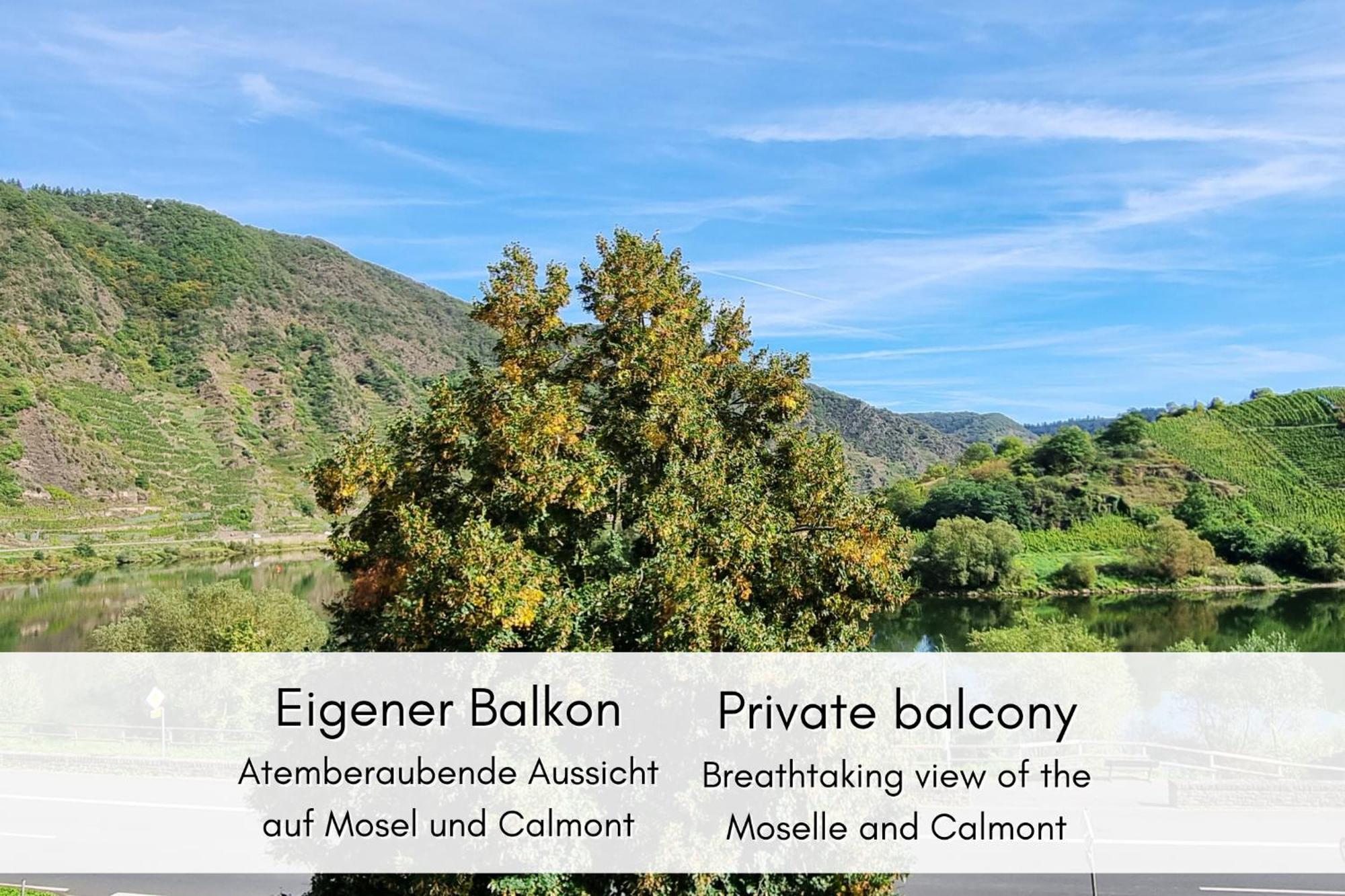 Apartamento Winzerhaus Am Calmont - Raumwunder Mit Moselblick Bremm Exterior foto